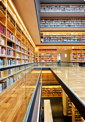 Library Full of Books